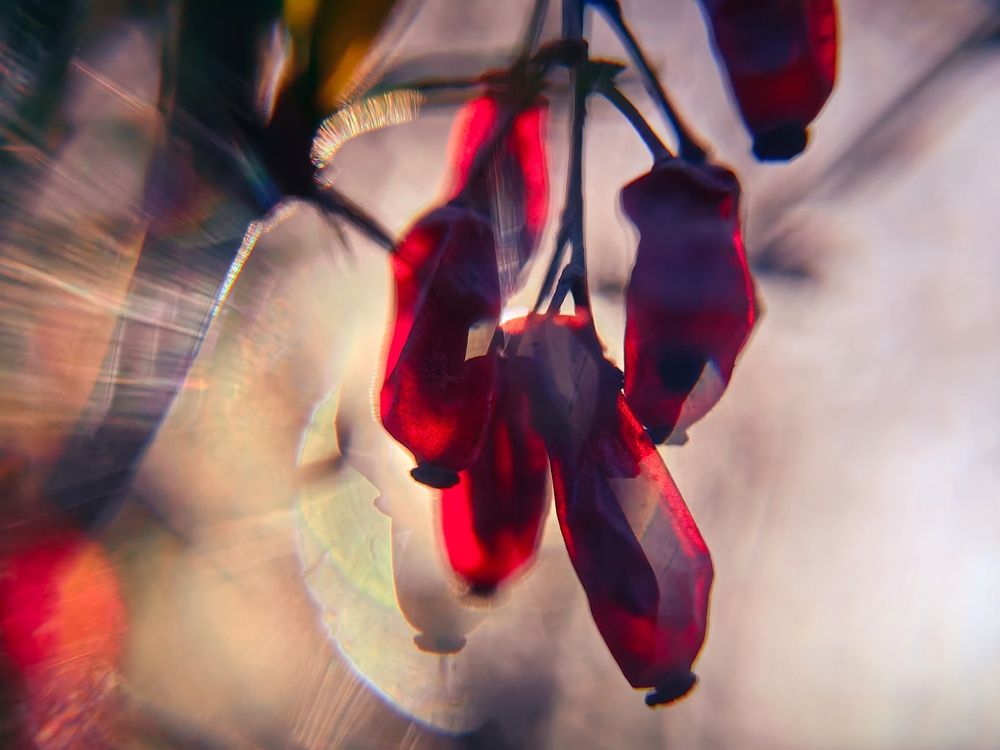 Photograph by Елена