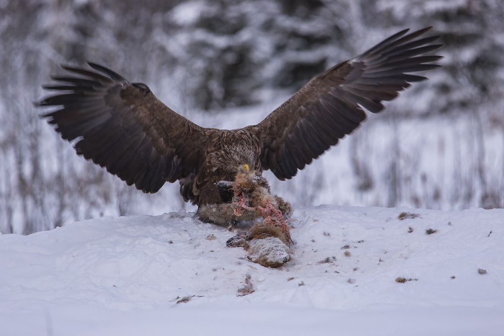 Photograph by Александр Ильин