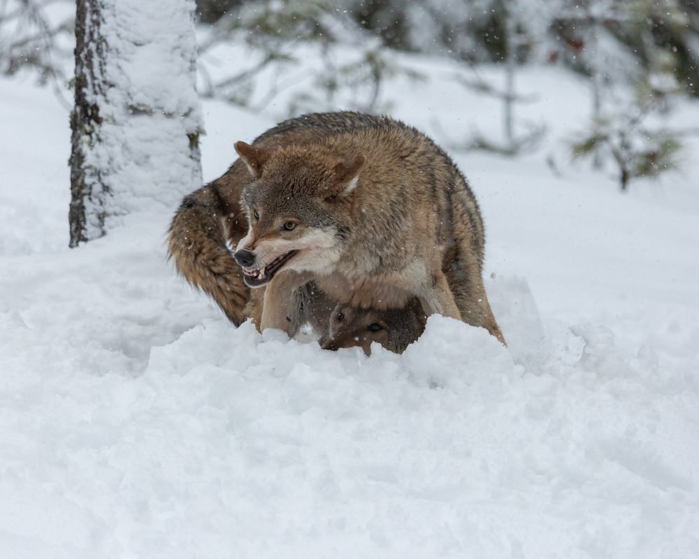 Photograph by Александр Ильин