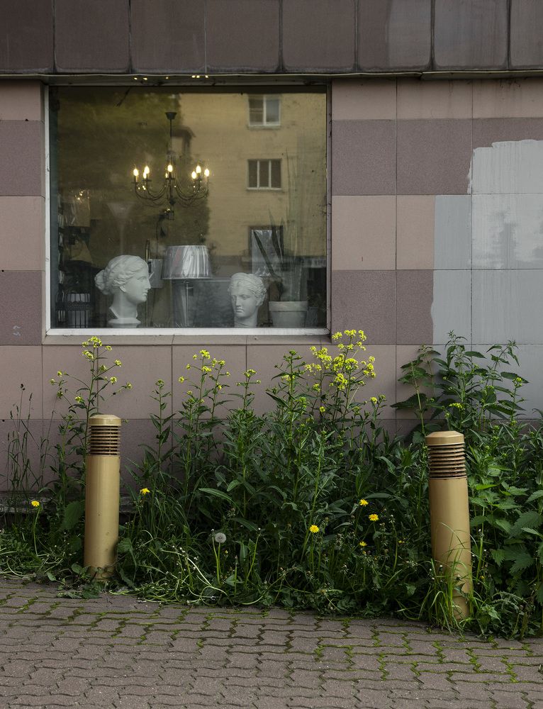 Фотография автора Андрей Рогов