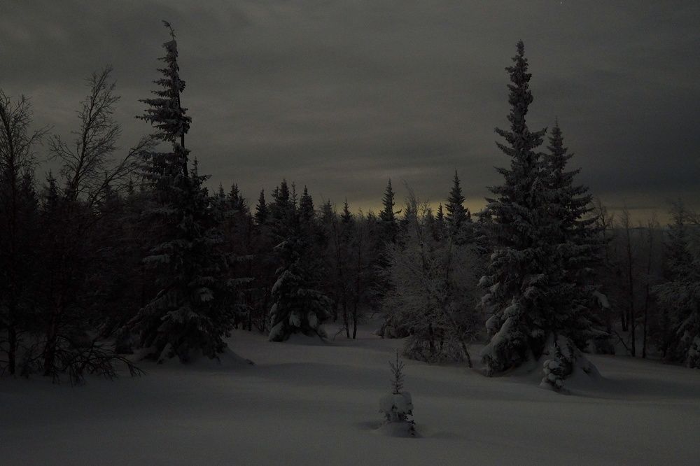 Photograph by Степанов Константин