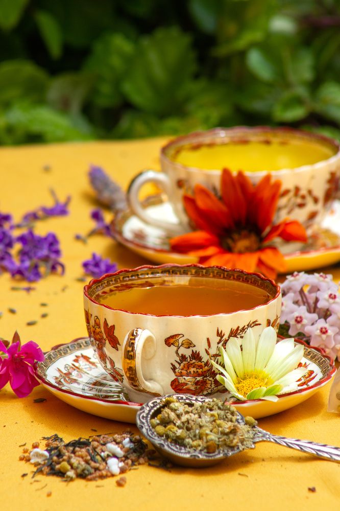 Photograph by Clara Bibbó