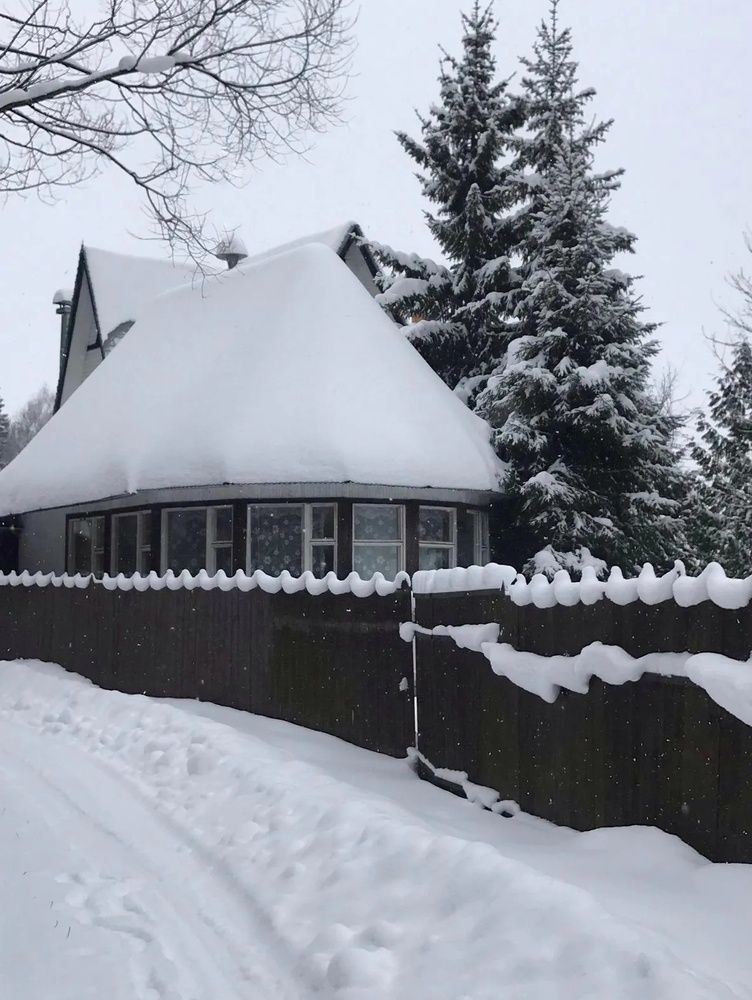 Photograph by Ирина Родионова