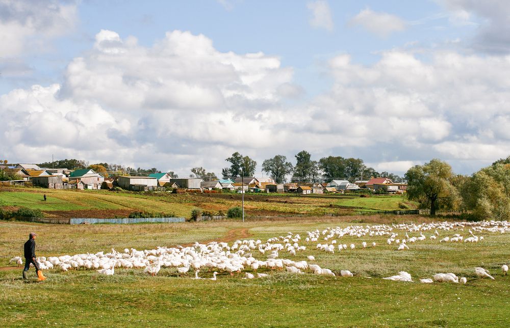 Фотография автора Рамиль Фаттахов