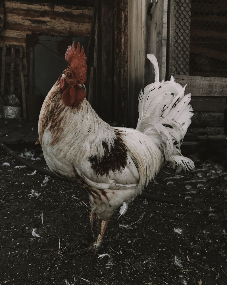 Photograph by Oxana Kostsova