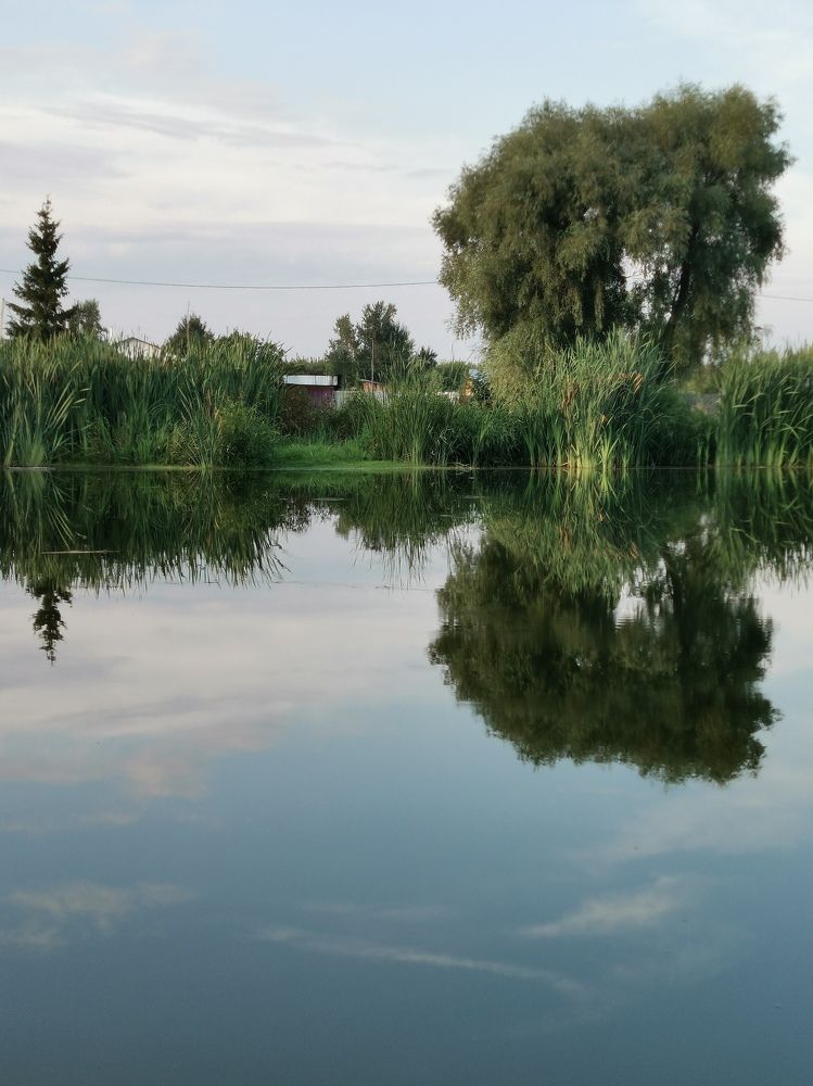 Photograph by Oxana Kostsova