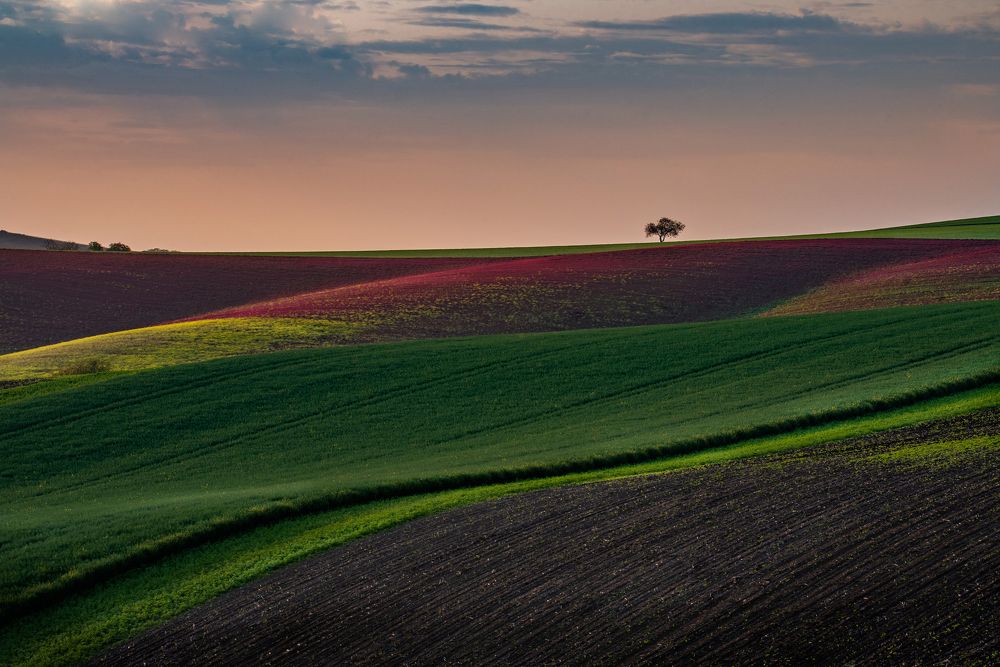 Photograph by konstantin zhdanov