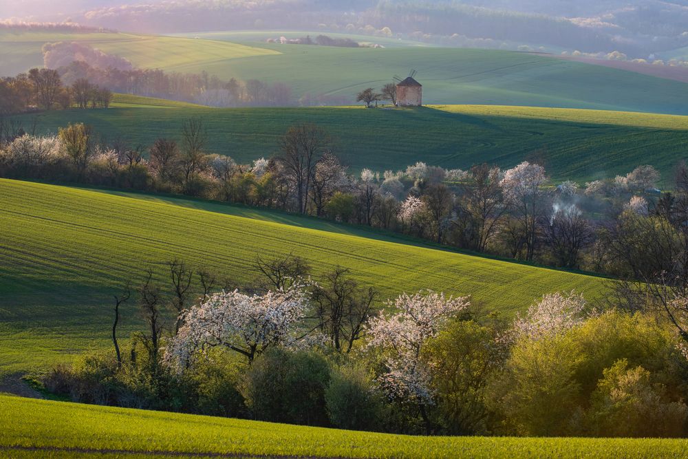 Фотография автора konstantin zhdanov