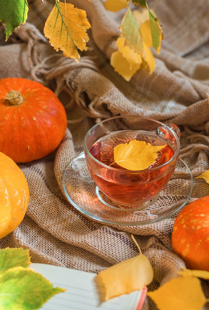 Photograph by Елена Стещенко