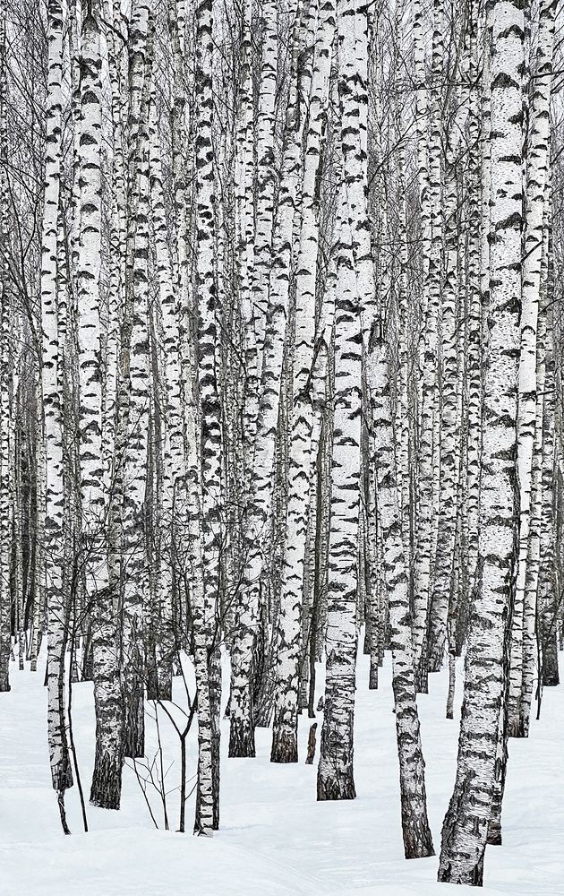 Photograph by Ольга Кузьмина