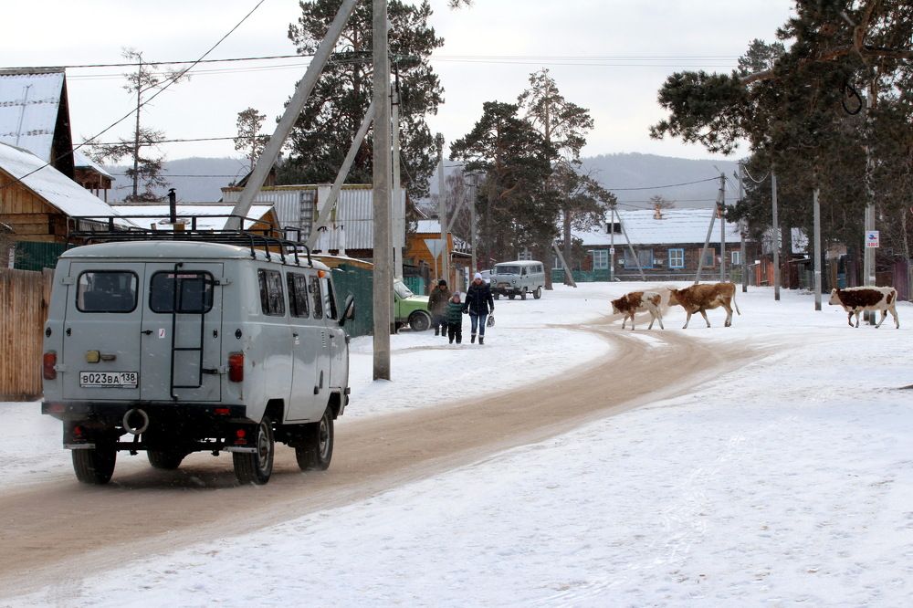 Фотография автора Колосова Елена