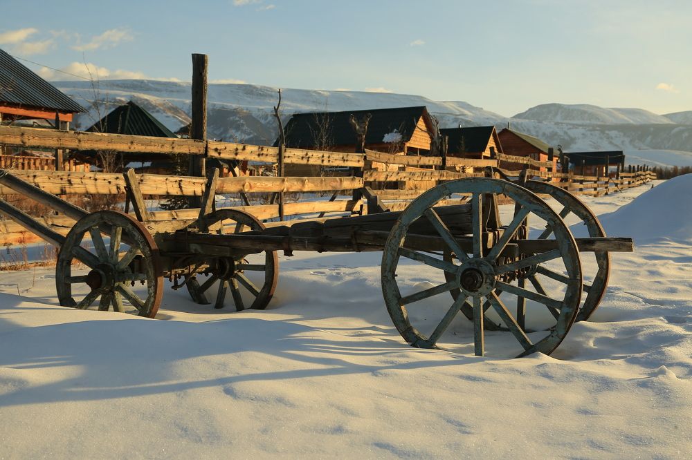 Photograph by Дмитрий Петухов