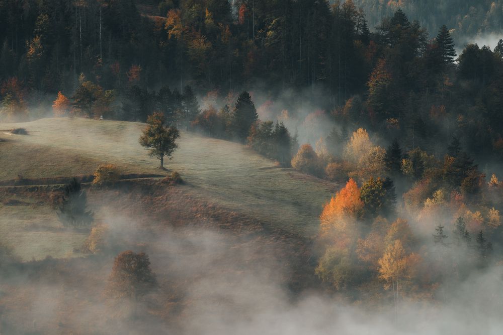 Photograph by Dejan Zakic