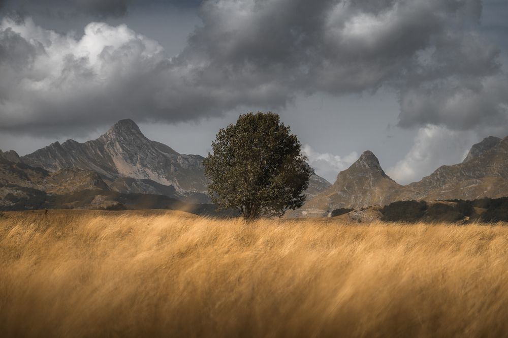 Photograph by Dejan Zakic