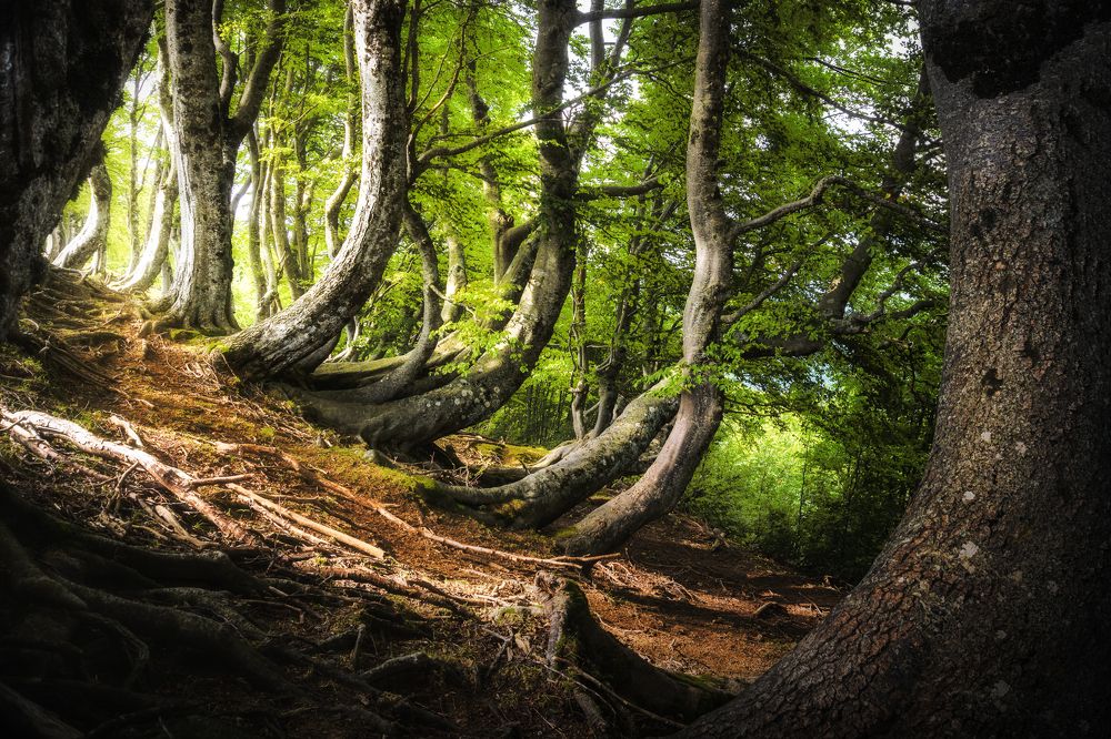 Photograph by Mattia Maniezzo