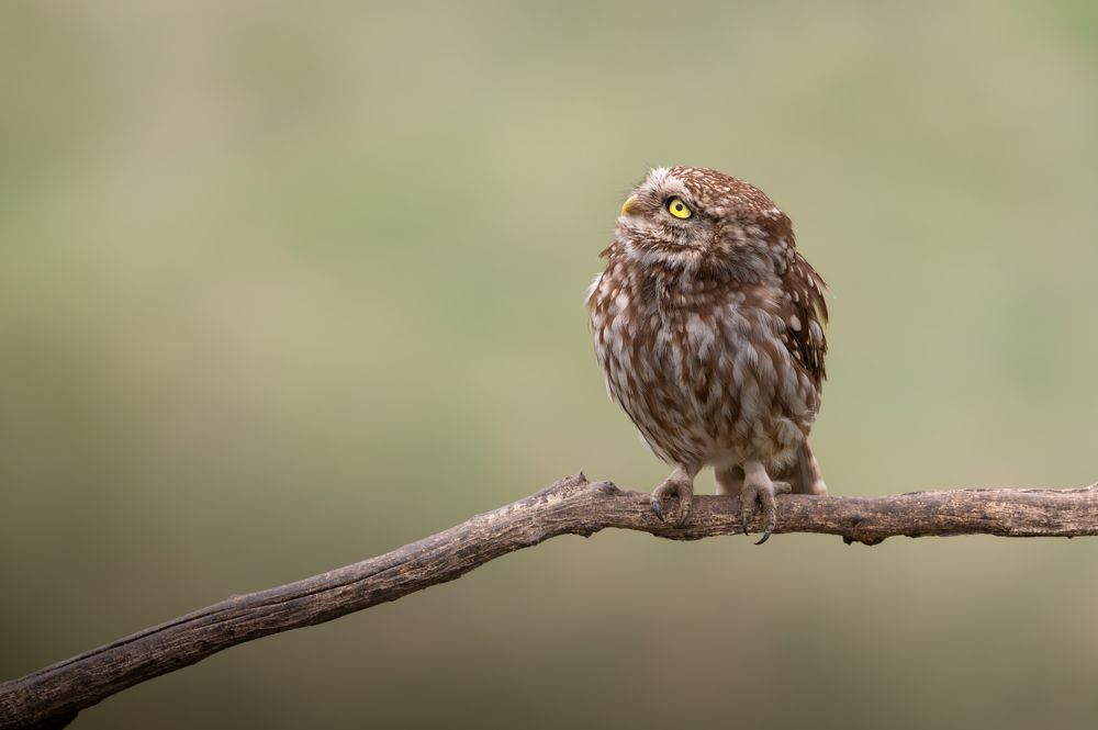 Photograph by Dejan Zakic