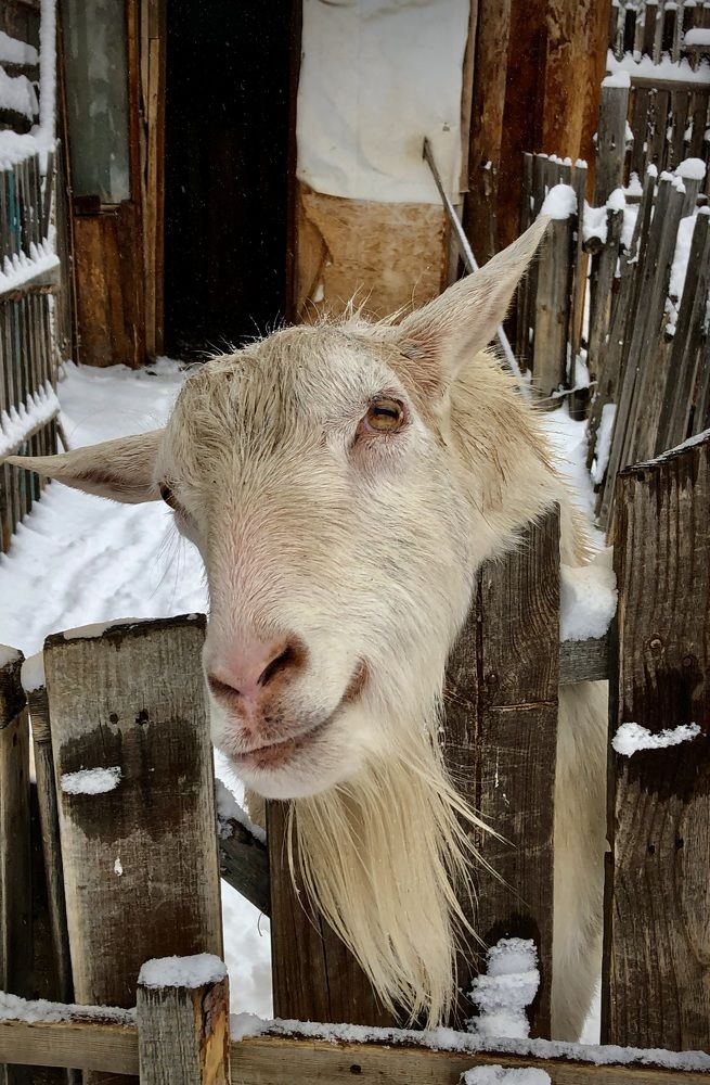 Фотография автора Евгения Елисеева