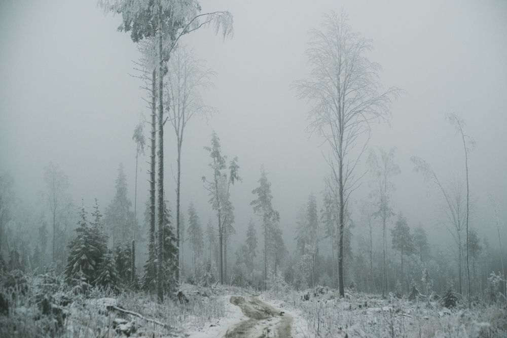 Долгая зима