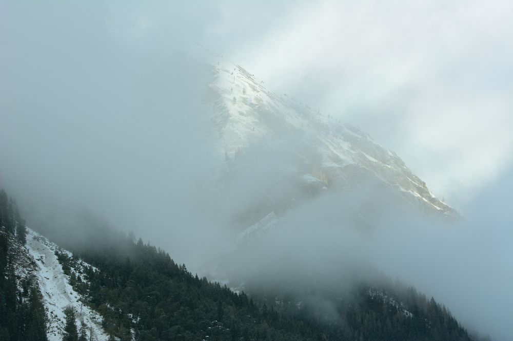 Photograph by Nicole Maria Oestreich