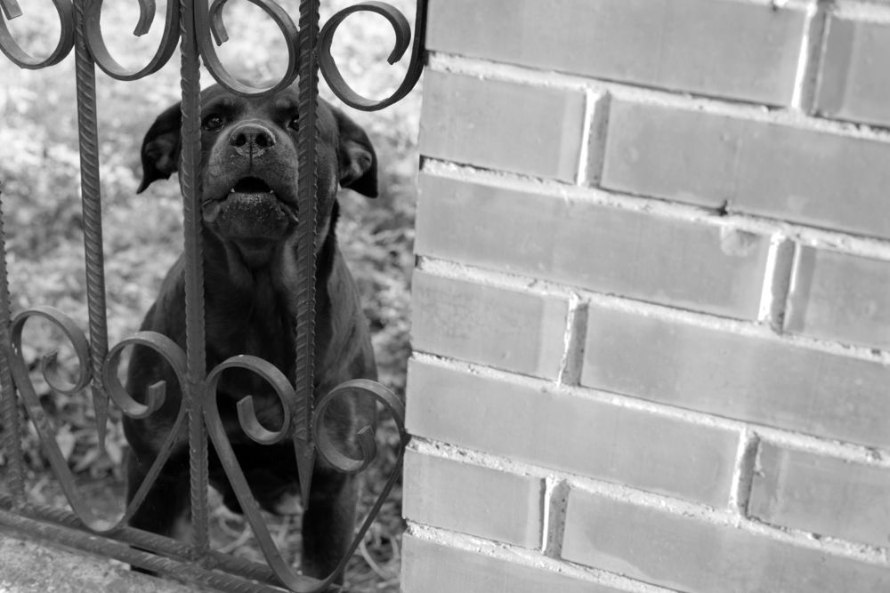 Photograph by Ксения Шакирова