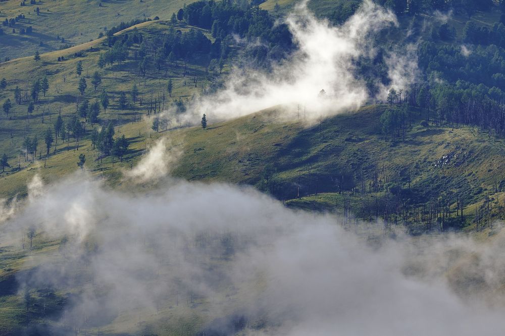 Photograph by Глеб Заходякин