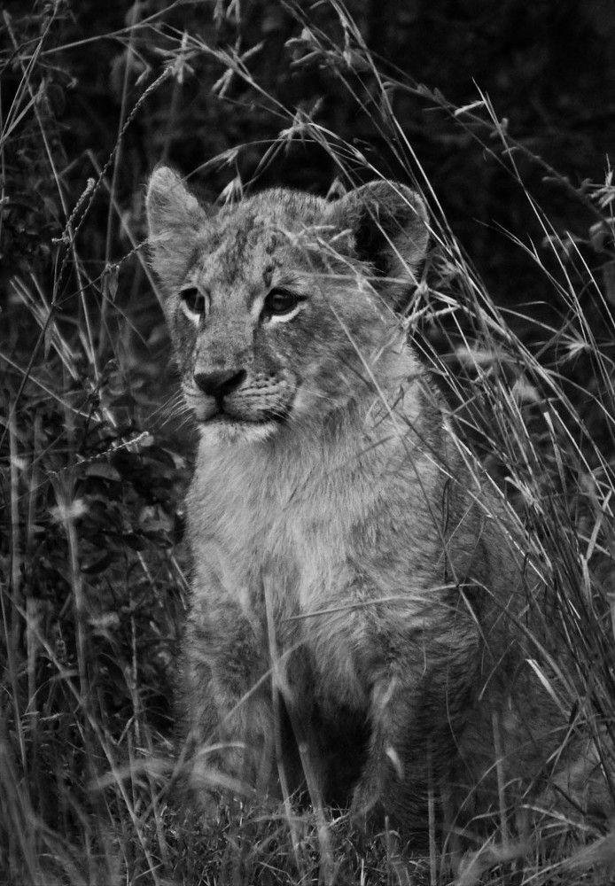 Photograph by Kainaat Arif