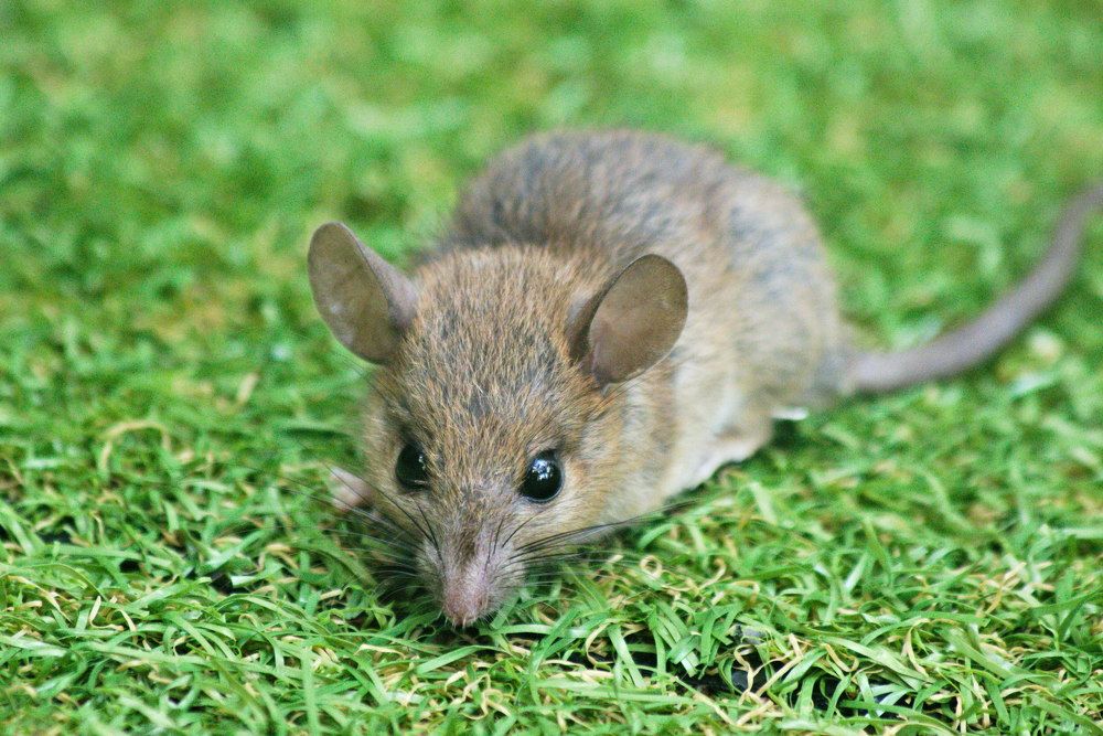 Photograph by Alexey