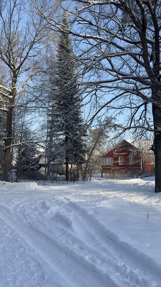 Photograph by Людмила Лукьяненко