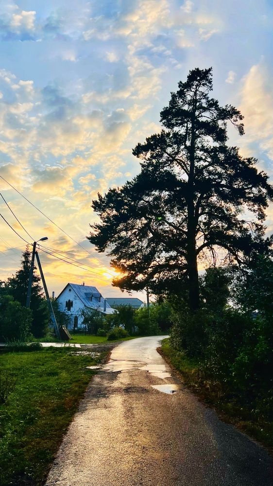 Photograph by Людмила Лукьяненко