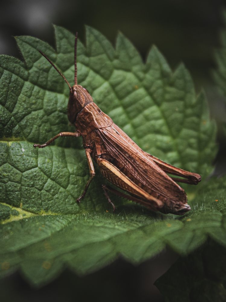 Фотография автора Юрий Серов