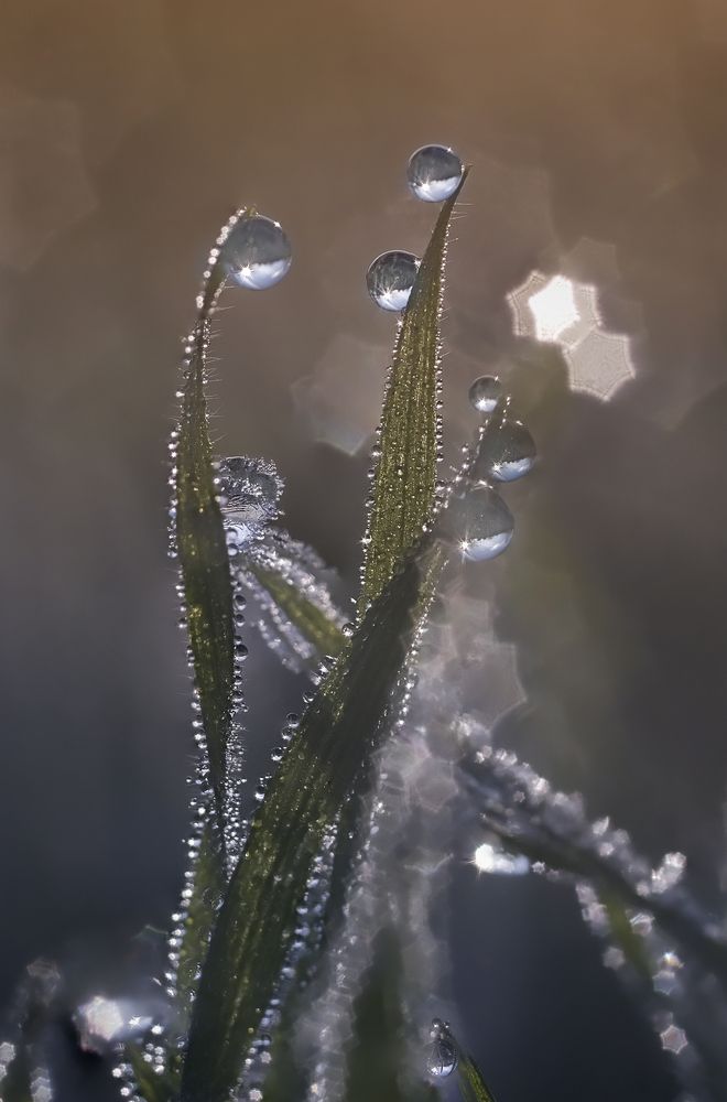 Photograph by Natalia Bolotenkova
