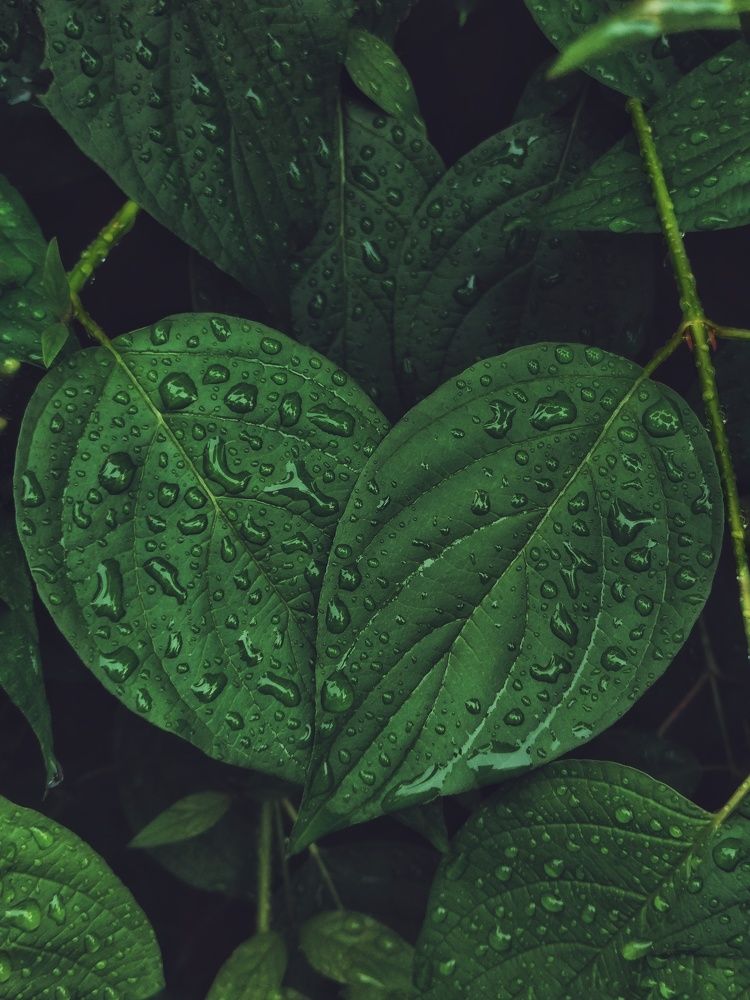 After rain