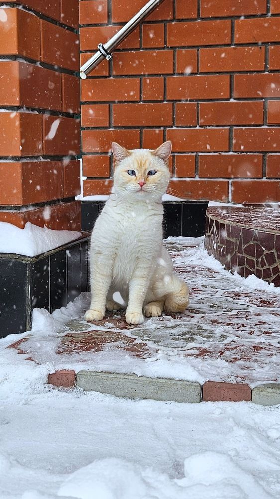 Photograph by Людмила Лукьяненко