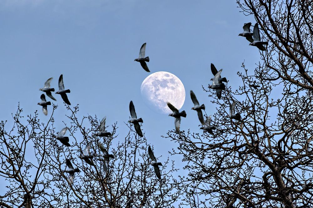 Photograph by Vladimir Jablanov