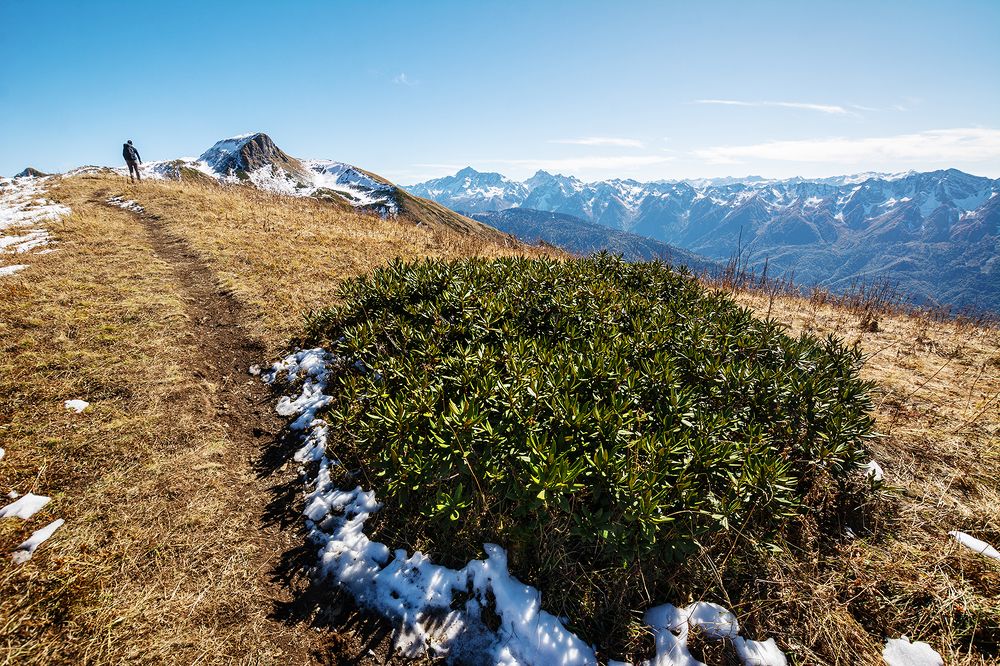 Photograph by Ян Сурогин