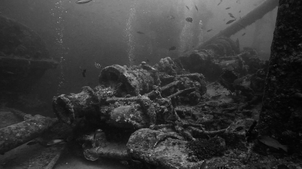 Photograph by Мария Берёзка