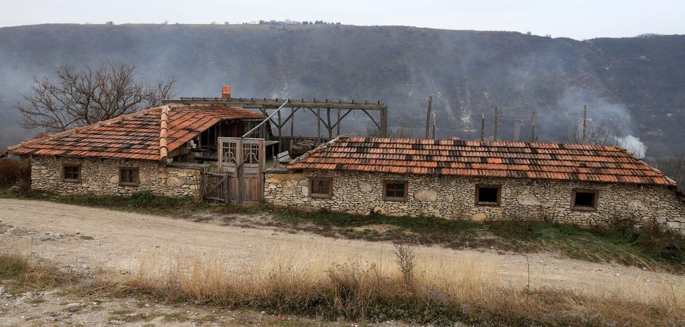 Photograph by елена