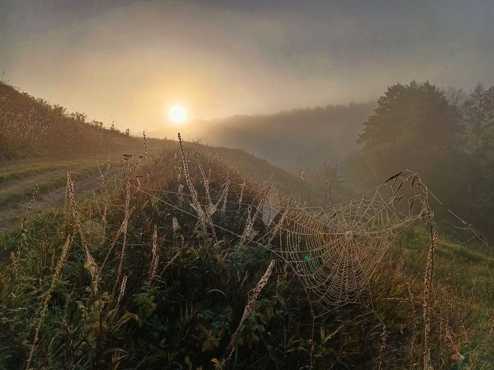 Photograph by Светлана Кондрашова