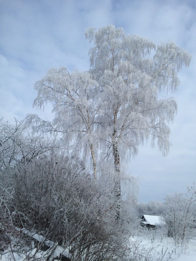Photograph by Роман