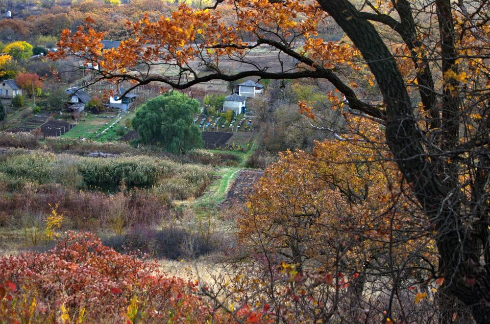 Photograph by Анатолий Святой