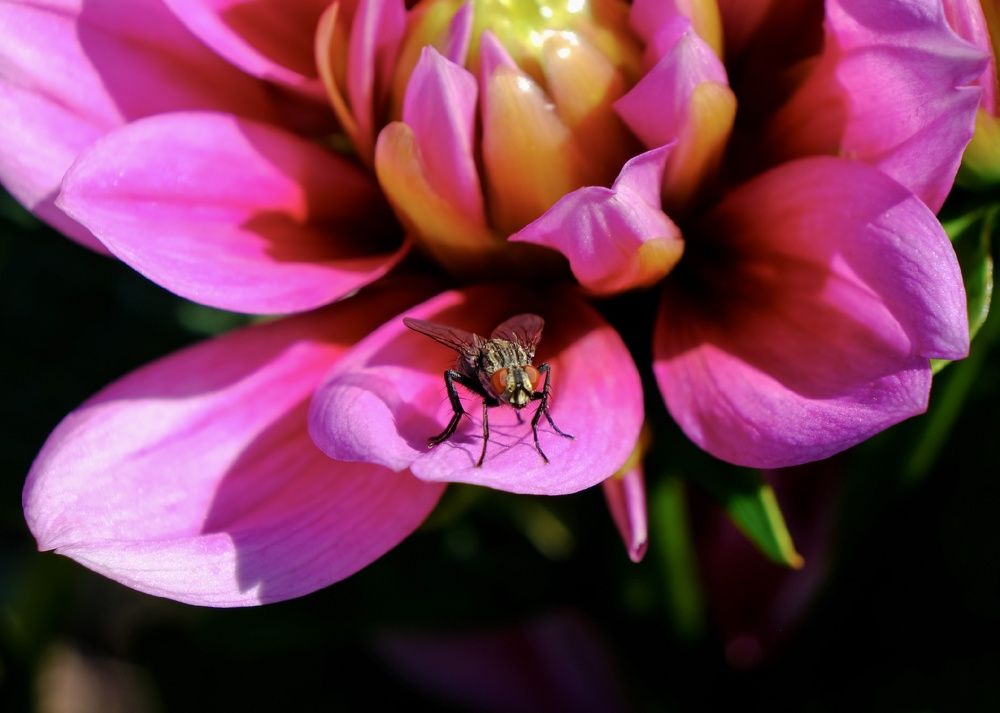 Photograph by Екатерина Загородина