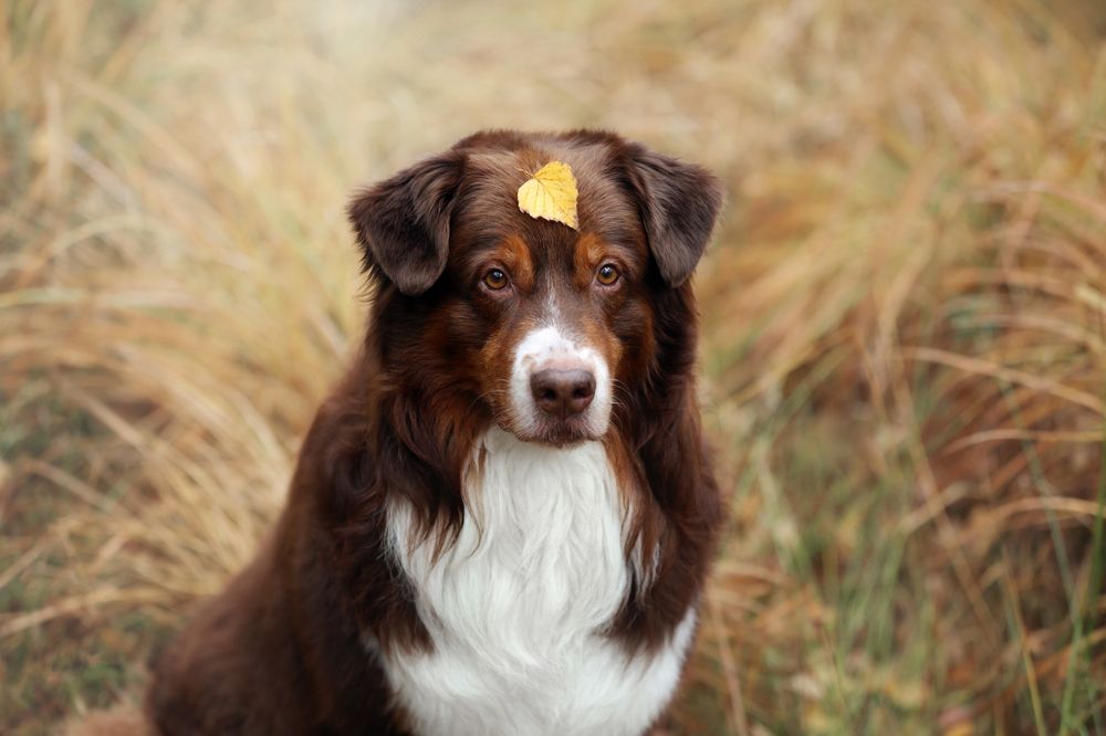 Photograph by Надежда Иванова