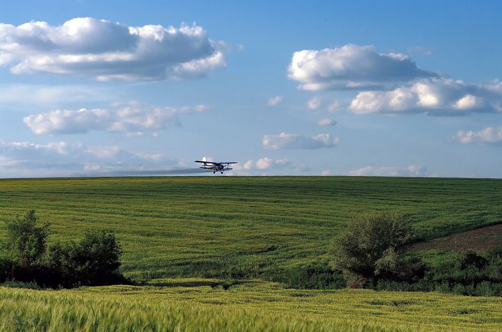 Photograph by Анатолий Святой