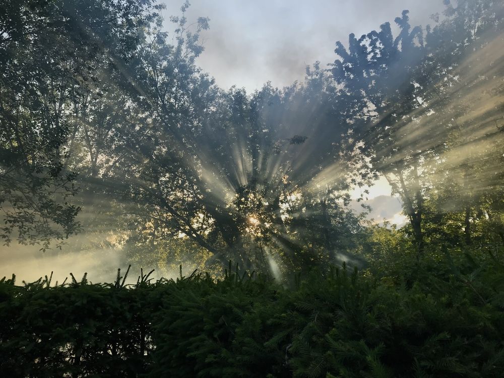 Photograph by Елена Терехина