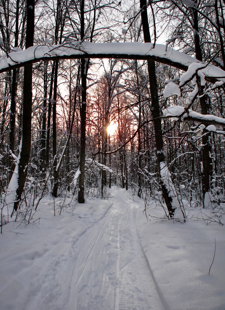 Фотография автора Mila Oreshkina