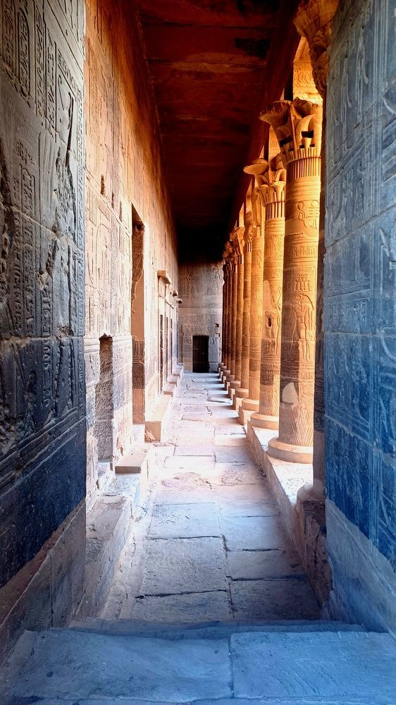 Photograph by Omar Tarek