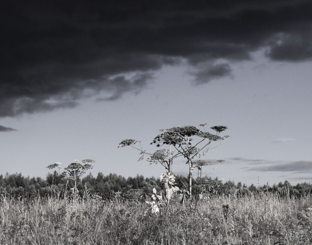 Photograph by ОЛЬГА ДЕРБЕНЕВА