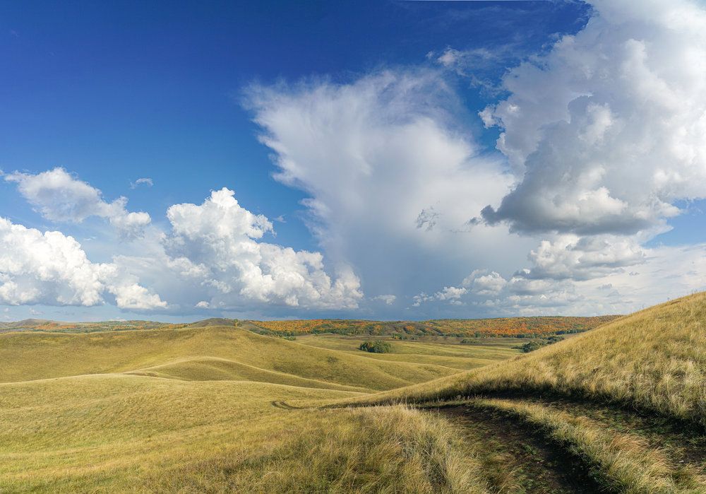 Photograph by Андрей Черкасов