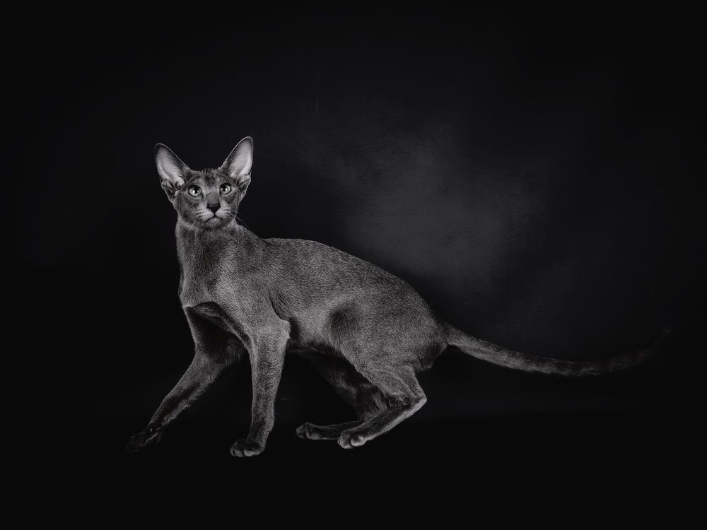 Photograph by Альвина Кузнецова