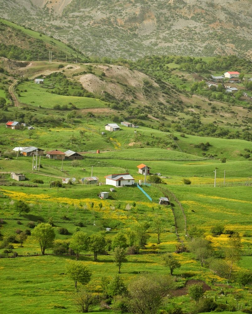 Photograph by Masoumeh Rahimi